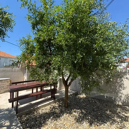 Dragan Apartman Bibinje